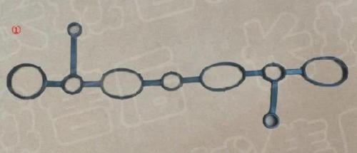 وجه بواجي والكويل H9 H6