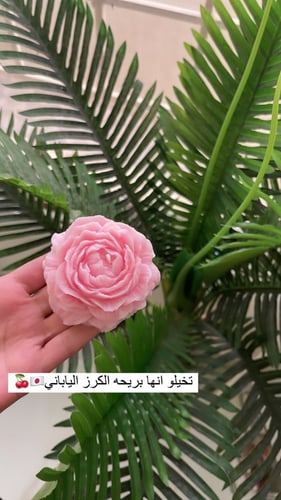 شمعة الوردة