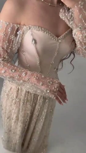 فستان سهرة شامبين بتطريز ملكي ناعم