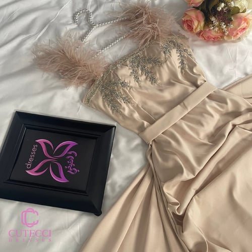 فستان خطوبة بيج ملكي بتطريز وريش