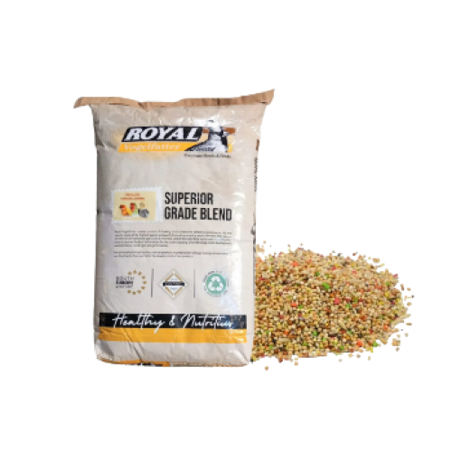 مشكل بادجي تعبئة كيس شفاف 1 كيلو