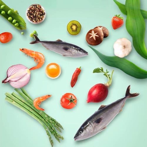 طعام أسماك حبيبات تطفو من نيكسو حجم 100 مل