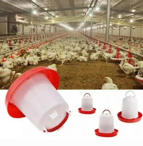 سقاية دجاج وطيور سعة 3 لتر