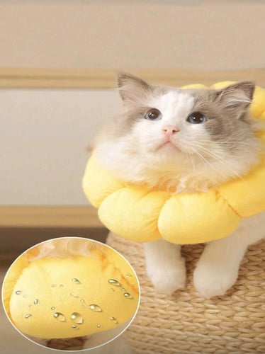 طوق إليزابيث لمنع اللعق والعض والخدش وبعد الجراحة...