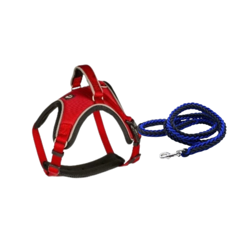 ليش مع مقود جودة عالية أصلية