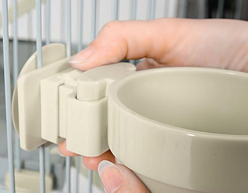 مأكلية ببغاء بلاستيك