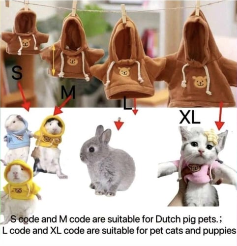 هودي صغير جذاب للقطط والأرانب الصغيرة