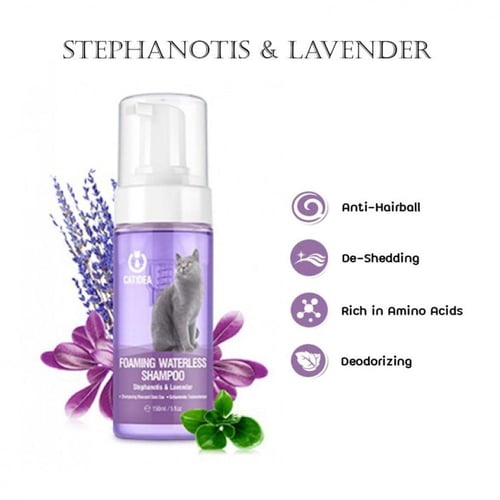 شامبو جاف للقطط كات ايديا