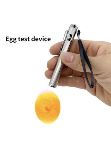 مصباح للكشف عن البيض