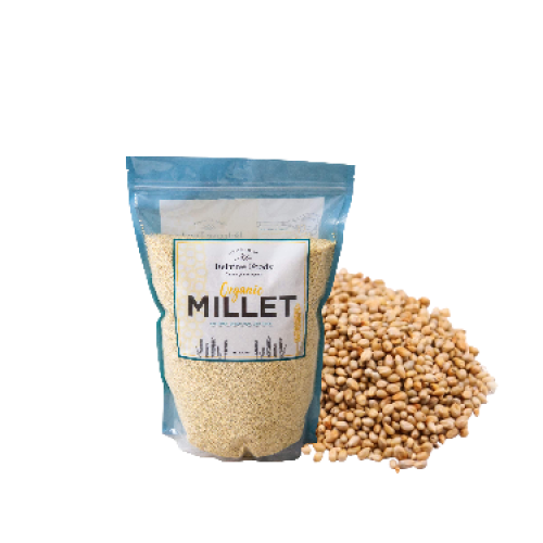 دخن سادة للطيور تعبئة كيس شفاف 1 كيلو