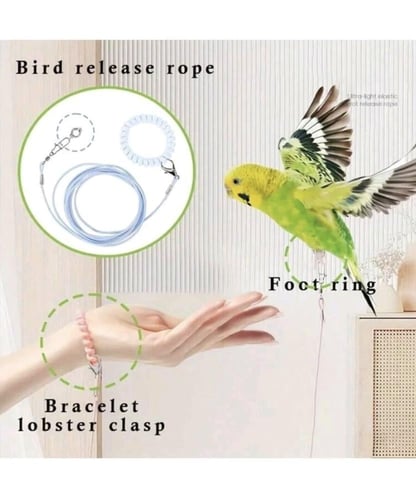 هارنس مع خاتم للقدم ومسكة أنيقة لون وردي 78 بوصة