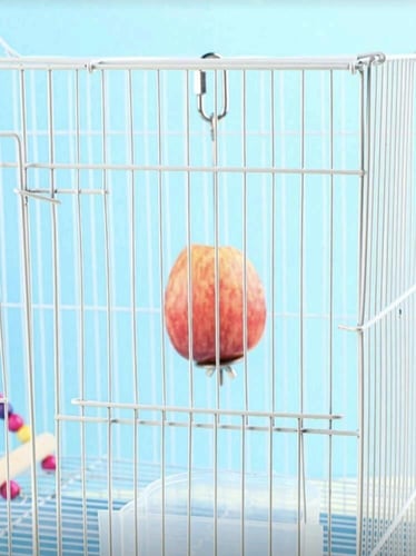 شوكة فولاذية لتغذية الطيور للاستخدام الداخلي والخا...