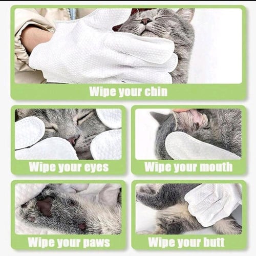 قفاز تنظيف مبلل لتنظيف الحيوانات الأليفة 6 قطع