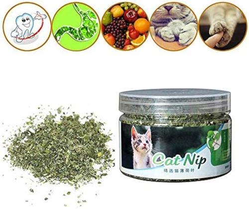 كاتنيب للقطط