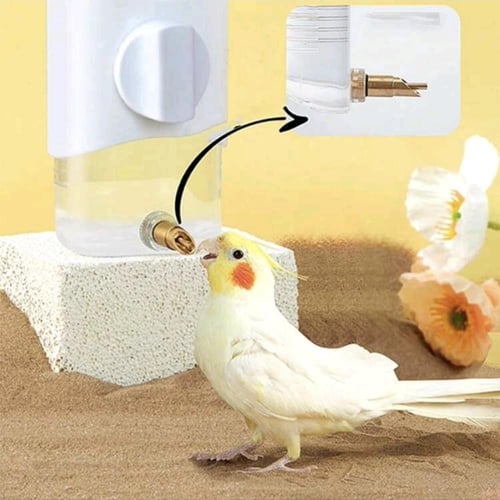 مشربية طيور اوتماتيكية بمخرج نحاسي غير قابلة للتسر...