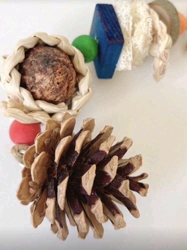 لعبة مضغ للطيور الصغيرة تعليق من كرة الذرة والمخرو...