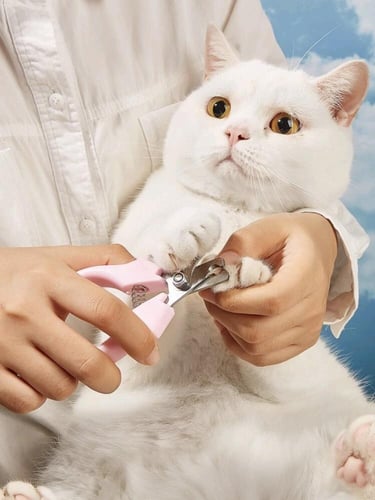 مجموعة العناية للقطط والكلاب