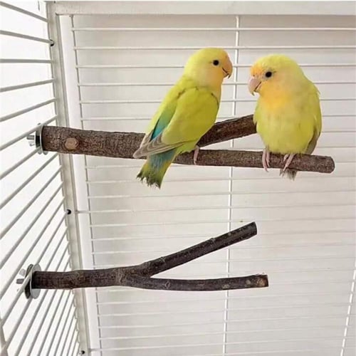 مجثم فرع شجرة 30 سم