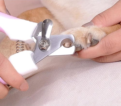 مقص أظافر مع مبرد