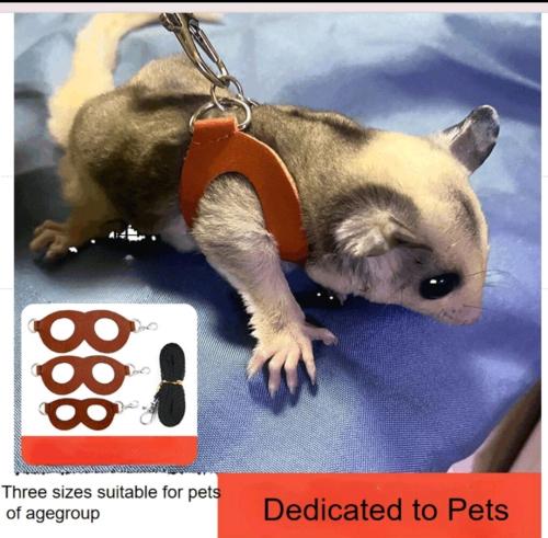 هارنس /مقود للسنجاب الطائر