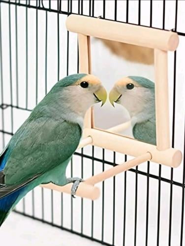 لعبة تفاعلية شكل مرآة للطيور