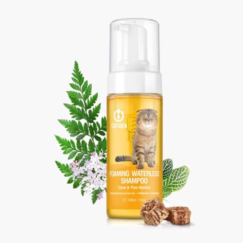 شامبو جاف للقطط كات ايديا