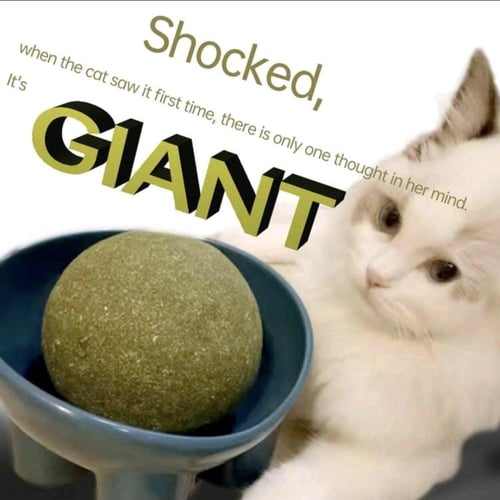 كرة كات نيب (النعناع البري) لتعزيز حيوية القطط