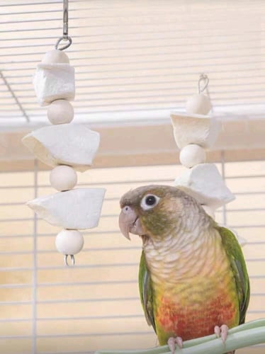 لعبة مضغ للببغاوات من عظم الحبار والخرز الخشبي