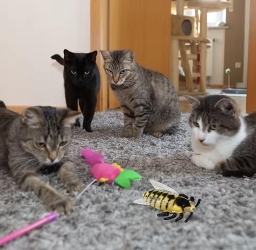 لعبة قطة تفاعلية ذاتية الحركة