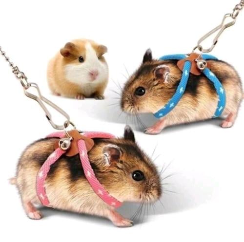 هارنس للهامستر