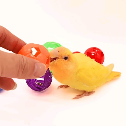 مجموعة ألعاب للطيور 9 قطع