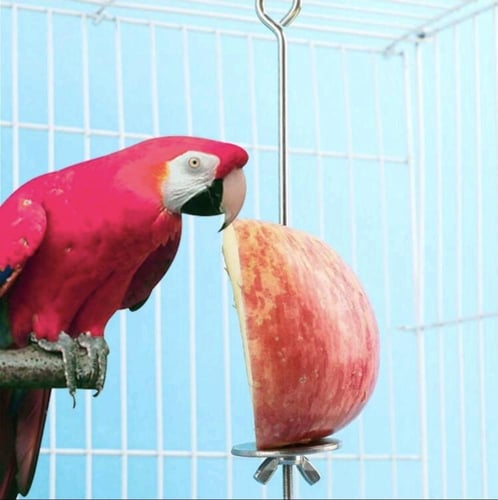 شوكة فولاذية لتغذية الطيور للاستخدام الداخلي والخا...