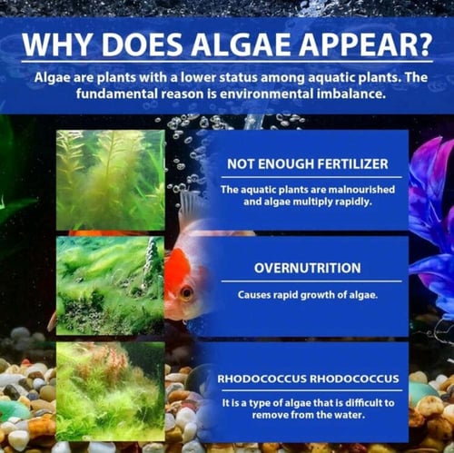 منقي مياة الأحواض 100 جم