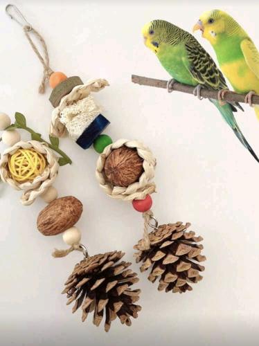 لعبة مضغ للطيور الصغيرة تعليق من كرة الذرة والمخرو...