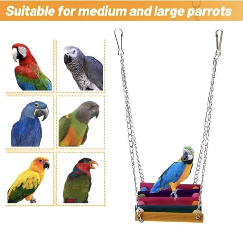 لعبة الجسر المعلق بألوان متعددة للطيور