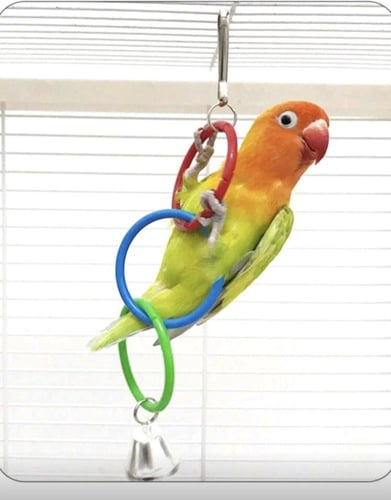 لعبة للطيور حلقات معلقة ملونة للتسوق والعض واللعب