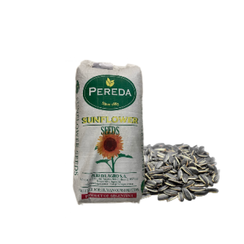 حب دوار الشمس كبير للببغاوات تعبئة كيس شفاف 1 كيلو