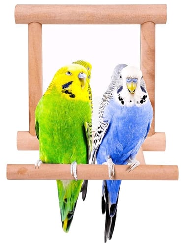 لعبة تفاعلية شكل مرآة للطيور