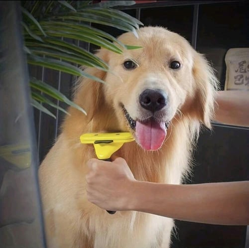 مشط إزالة الشعر الاحترافي للقطط والكلاب مقاس M