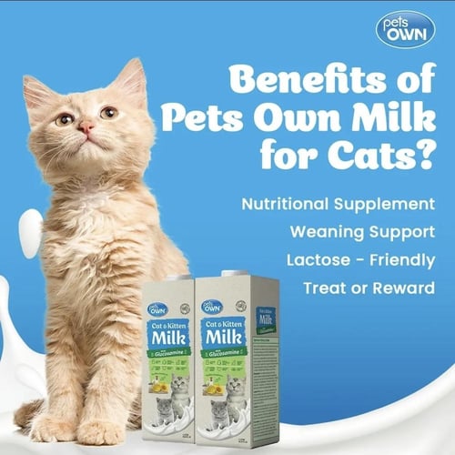 بيتس اون حليب سائل للقطط الصغيرة والكبيرة 250 مل