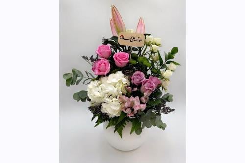 فازة الحمد الله على السلامة