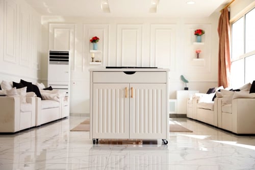 عربة متنقلة كهربائية 2