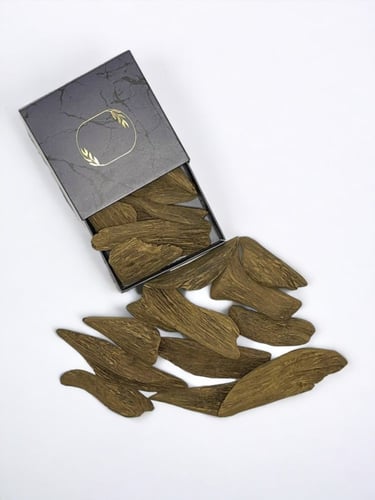 عود مروكي SS