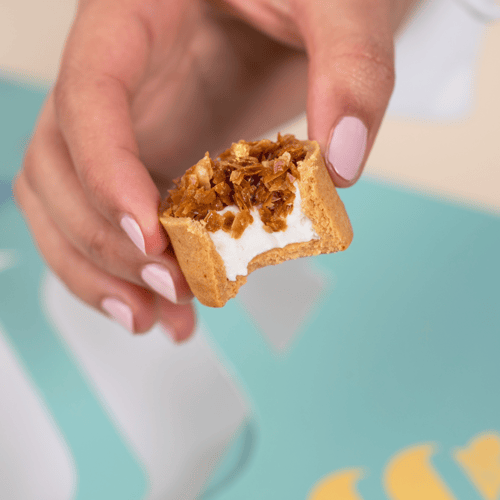 تارت تشيز الجلاش