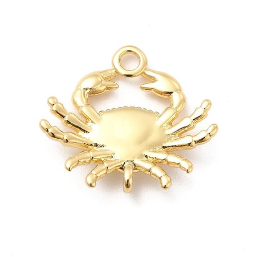 تشارم سلطعون بحر