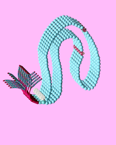 Baby blue Pink Sabha