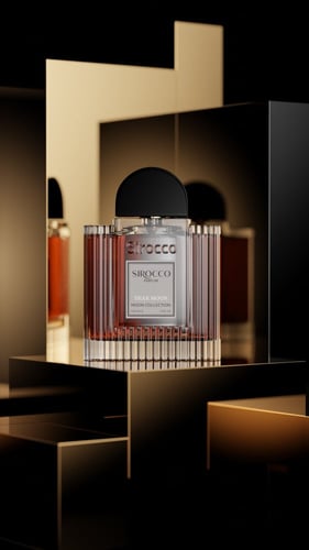 دير مون (Dear Moon)