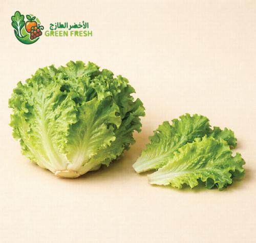 خس امريكي