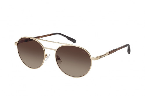 HACKETT SUNGLASSES