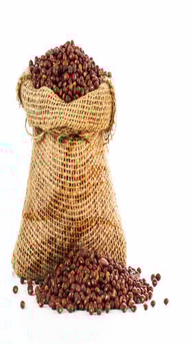 لوبا حمراء حساوية 1 كجم